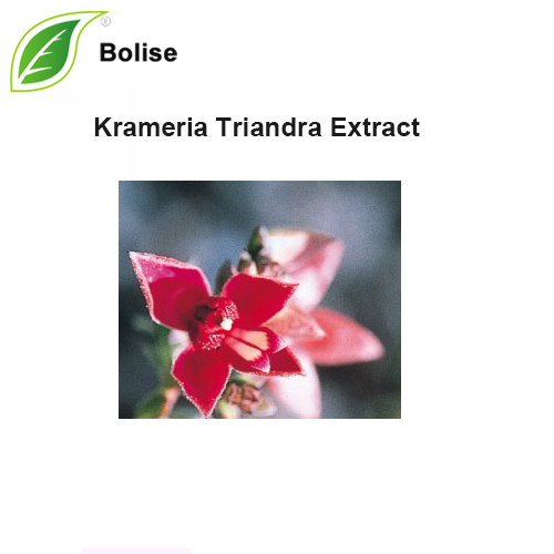 Krameria Triandra Extract(Rhatany Extract)