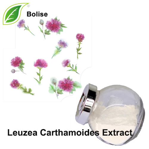 Leuzea Carthamoides Extract