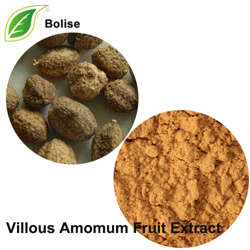Villous Amomum Fruit Extract(Fructus Amomi Extract)