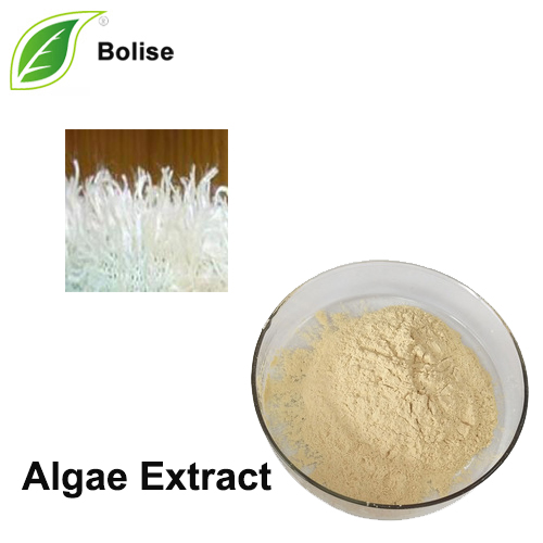 Algae Extract(Marine algae extract)