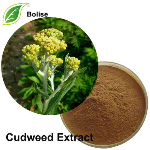 Cudweed Extract