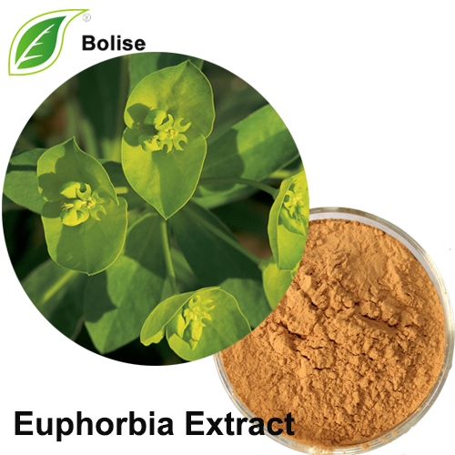 Euphorbia Extract