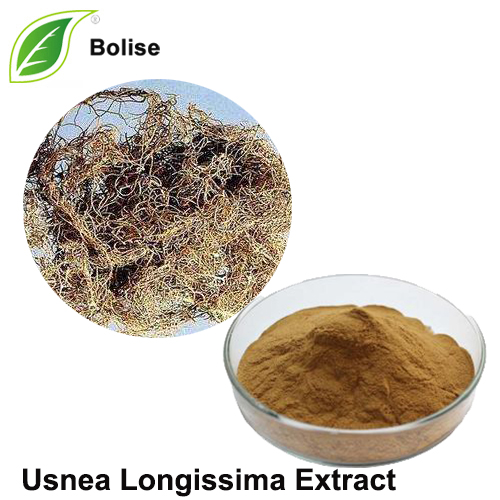 Usnea Longissima Extract