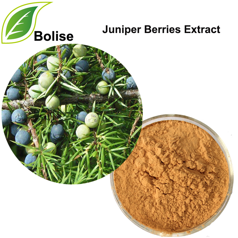 Juniper Berries Extract