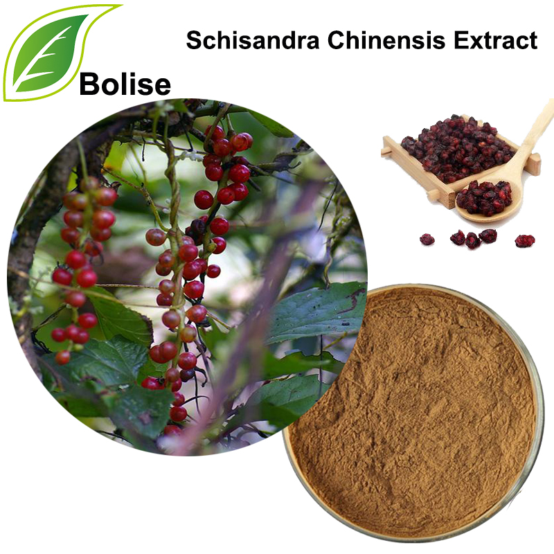 Schizandra Extract(Schisandra Chinensis Extract)