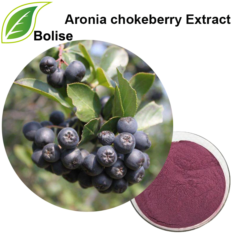 Aronia Chokeberry Extract(Aronia Melanocarpa Extract)