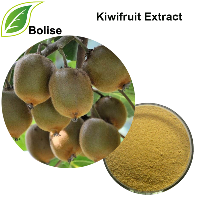 Kiwifruit Extract(Chinese Gooseberry Extract)