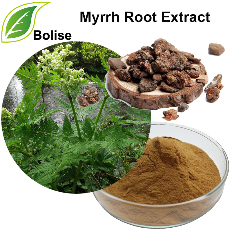 Myrrh Root Extract