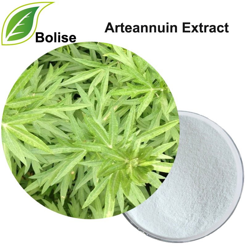 Arteannuin Extract(Artemisinin Extract)