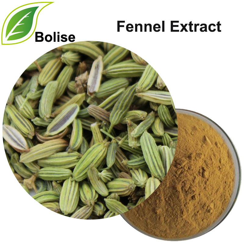 Fennel Extract(Cumin Extract)