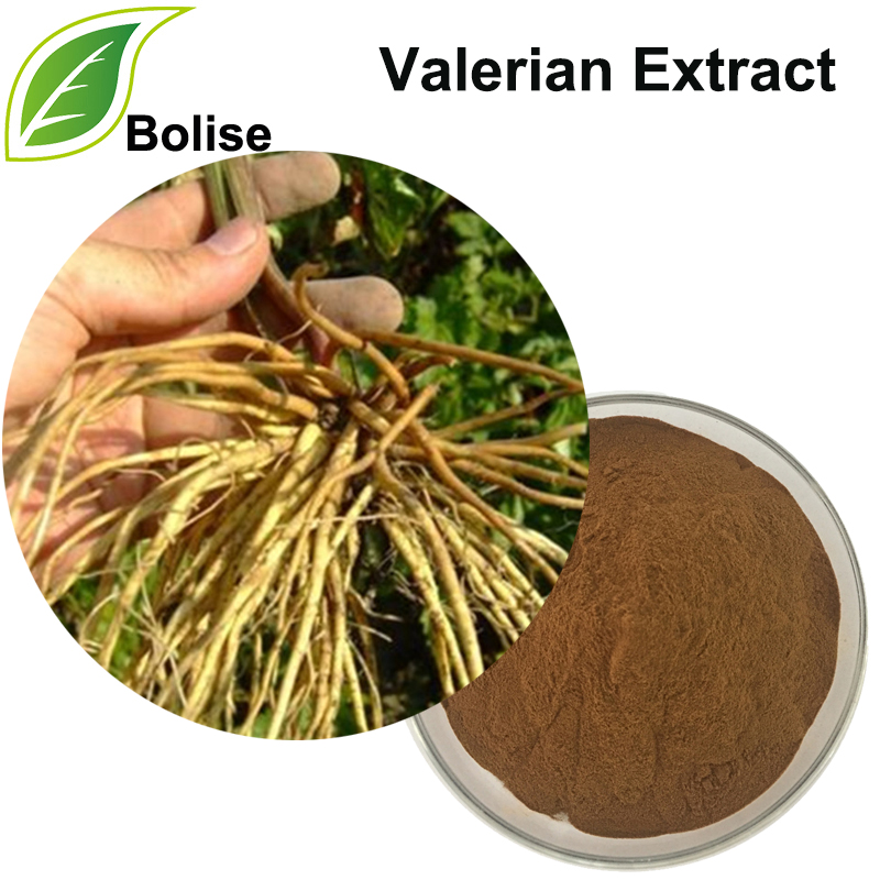 Valerian Extract