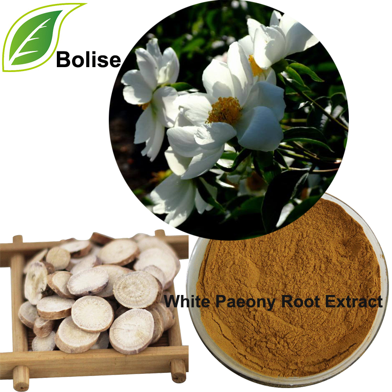 White Paeony Root Extract