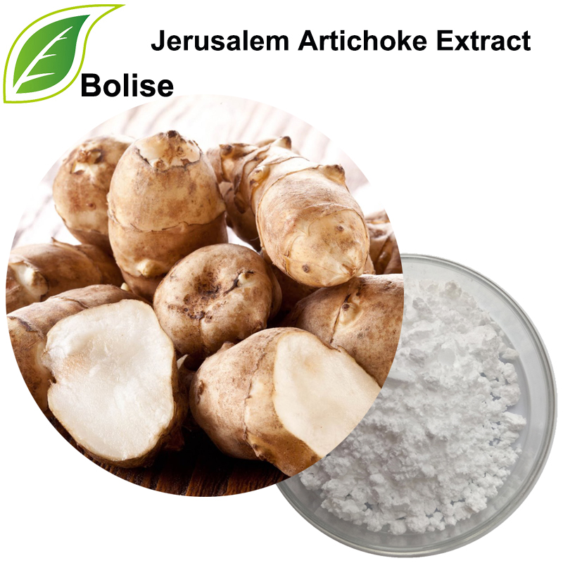 Jerusalem Artichoke Extract