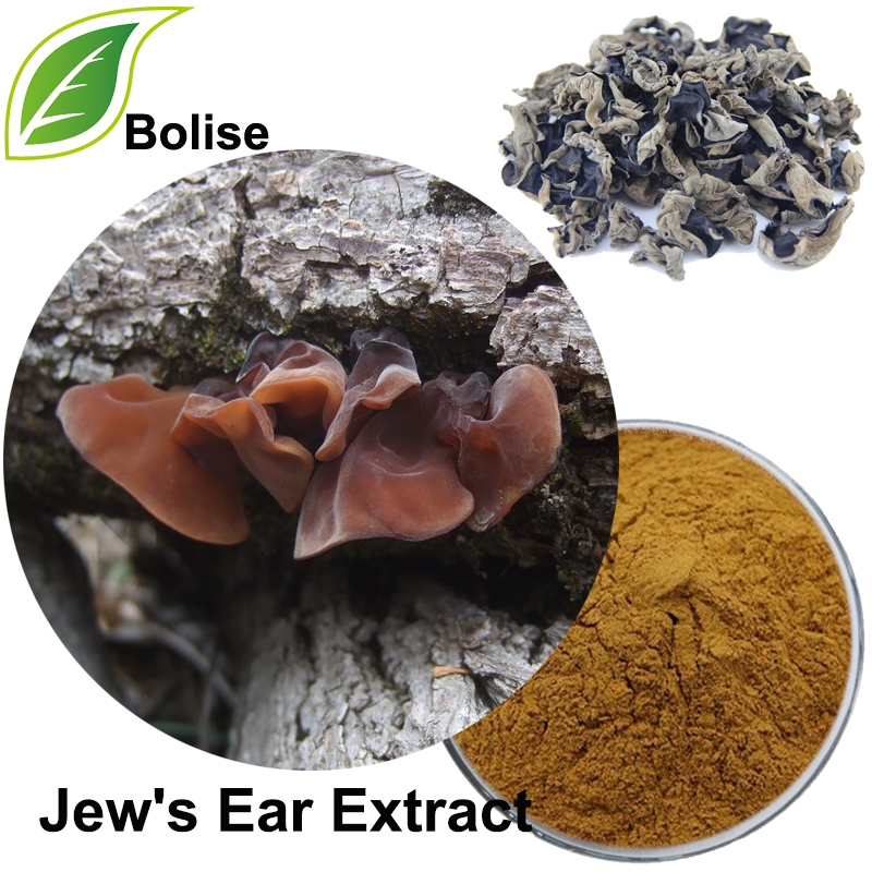 Jew's Ear Extract(Auricularia Auricula Extract)