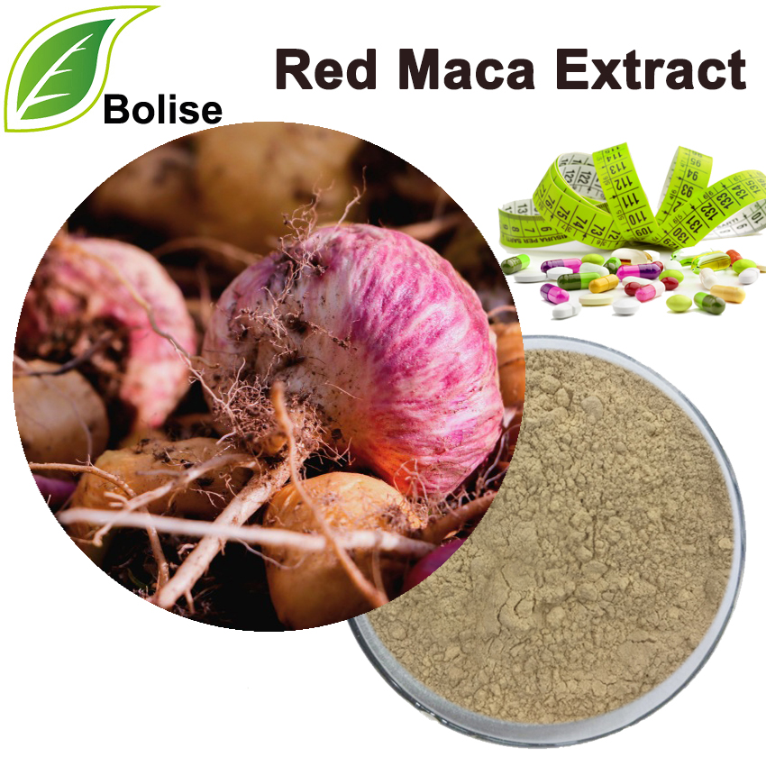 Red Maca Extract