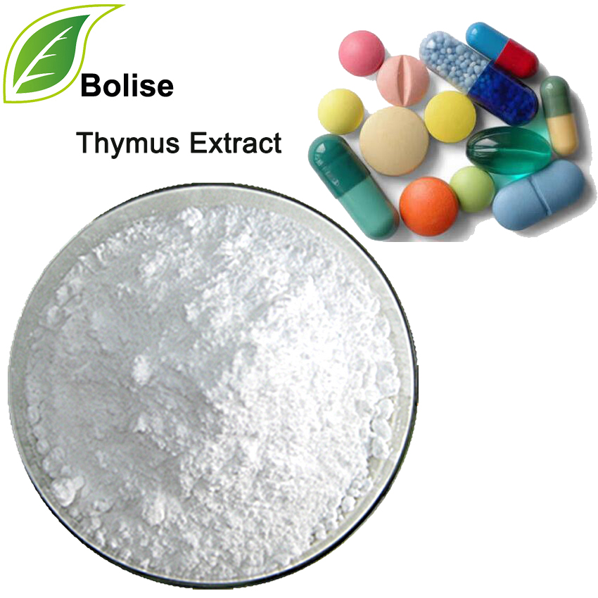 Thymus Extract(Thymus Gland Extract)