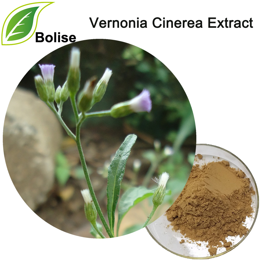 Vernonia Cinerea Extract