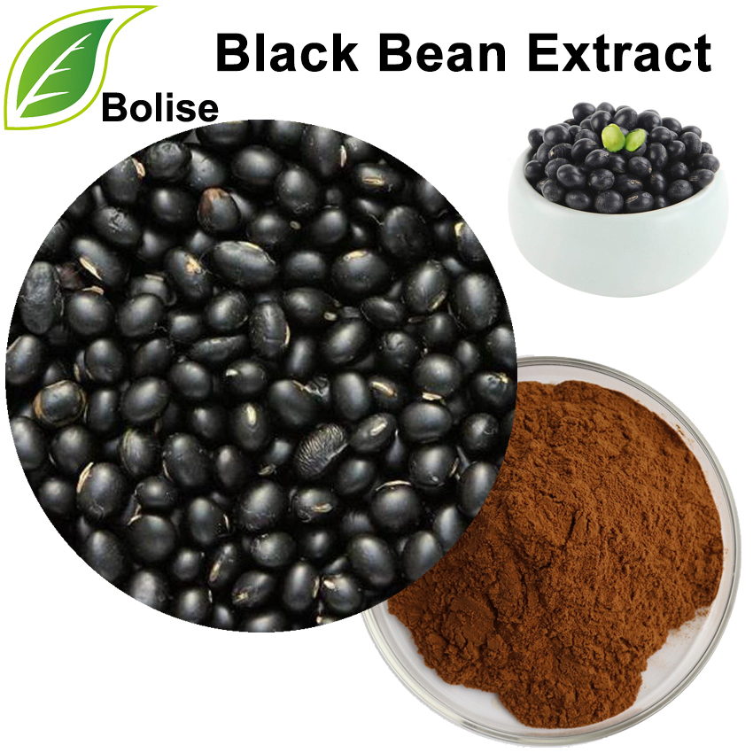 Black Bean Extract