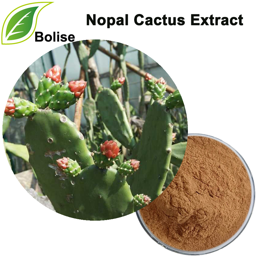 Nopal Cactus Extract