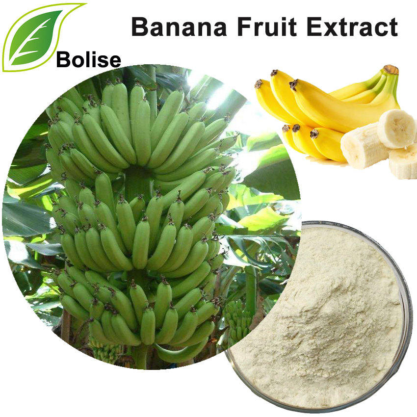 Dried Banana Fruit Extract