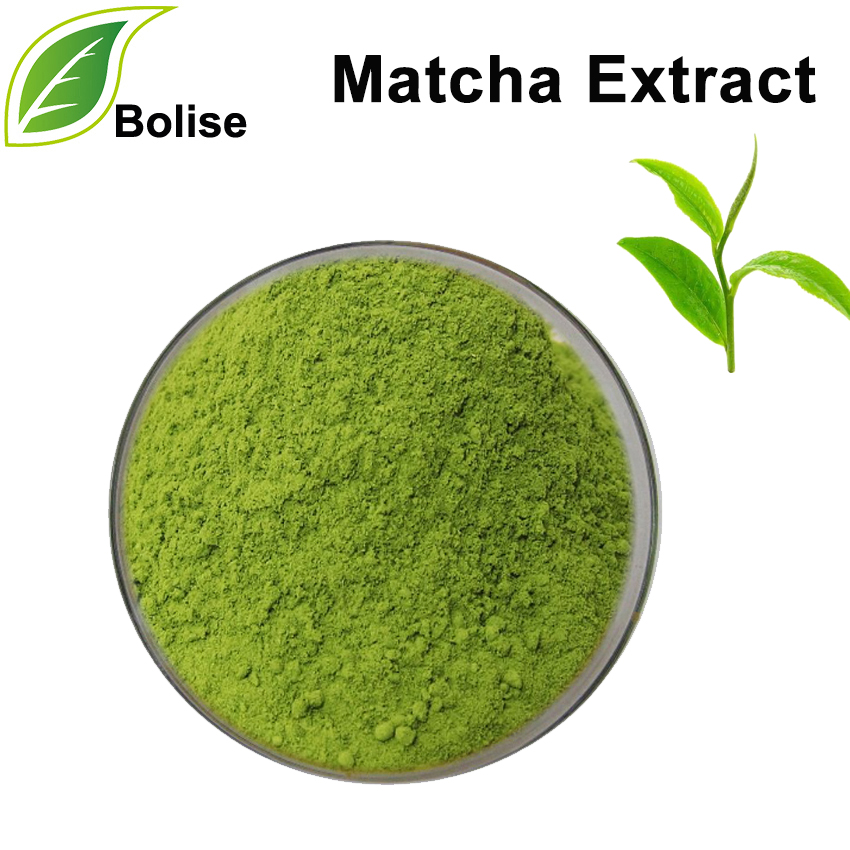 Matcha Extract