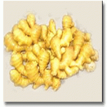Ginger Root Extract Ginger Root Extract