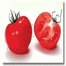 Lycopene Lycopene