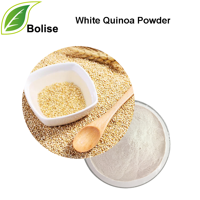 White Quinoa Powder