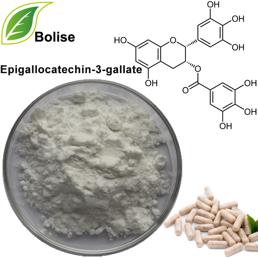 Epigallocatechin Gallate (EGCG)