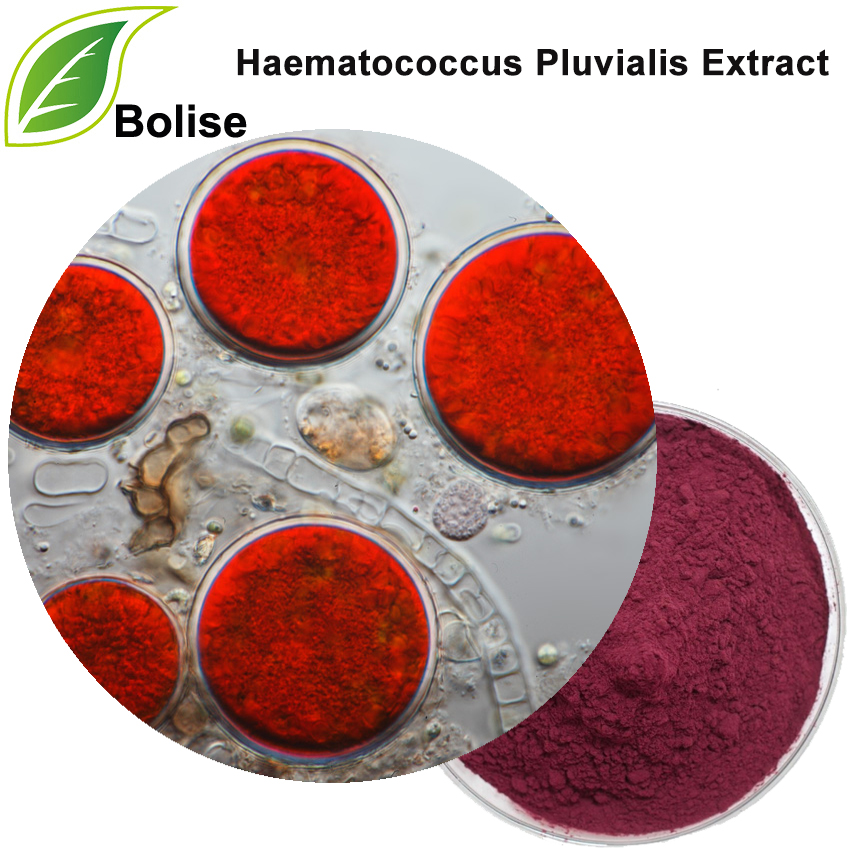 Haematococcus Pluvialis Extract