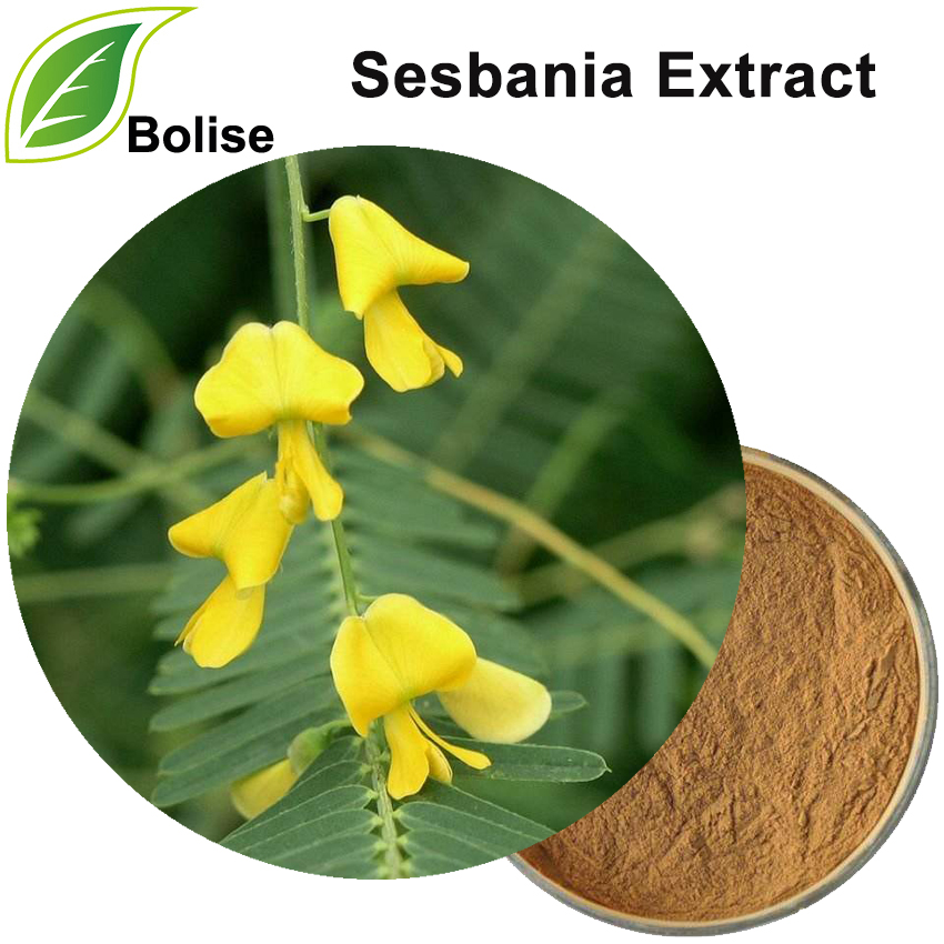 Sesbania Extract (Sesbania Grandiflora Extract)