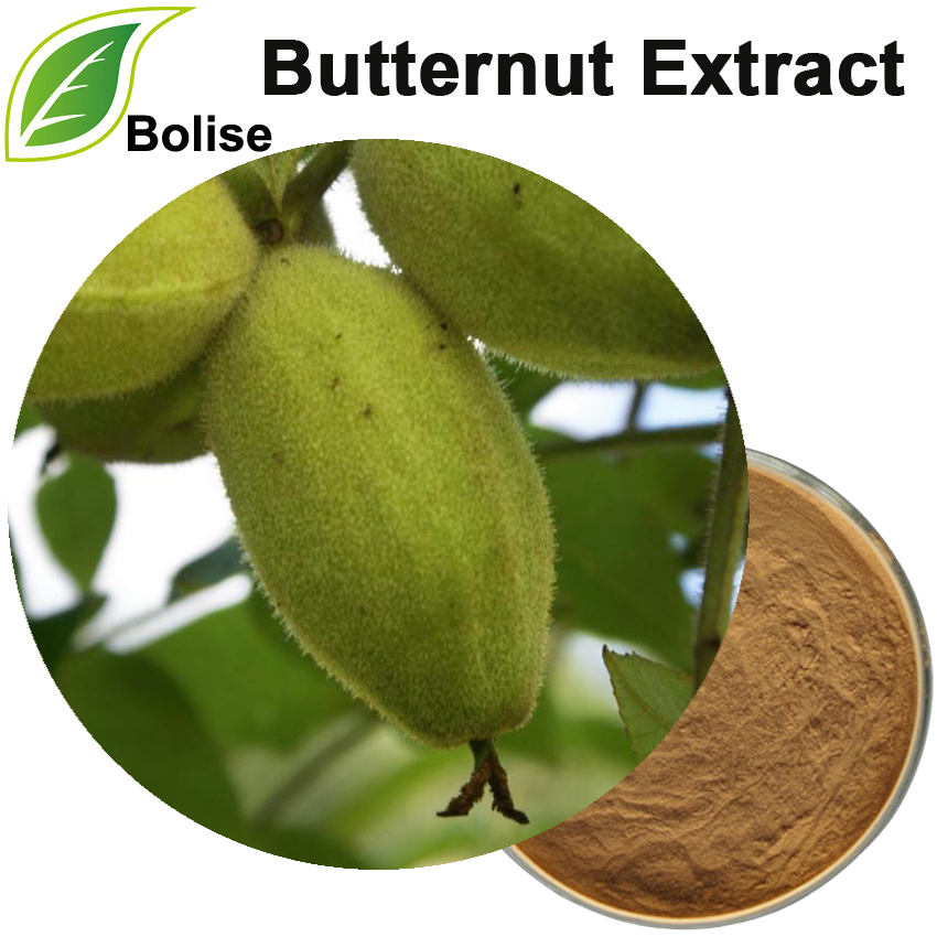 Butternut Extract