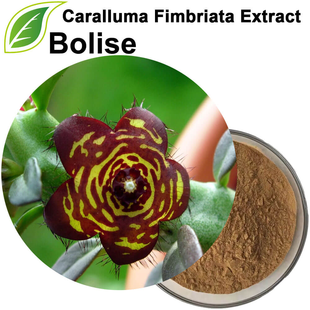 Caralluma Fimbriata Extract