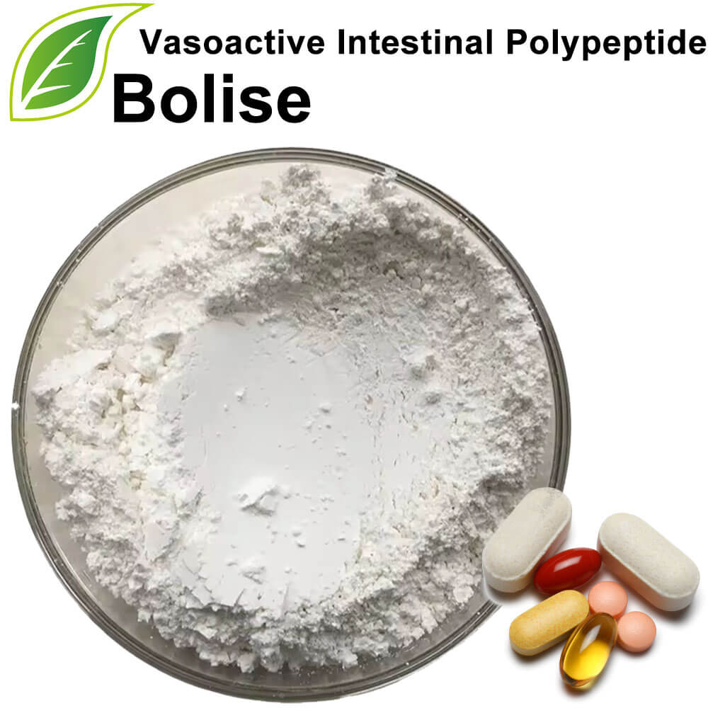 Vasoactive Intestinal Polypeptide (VIP) 