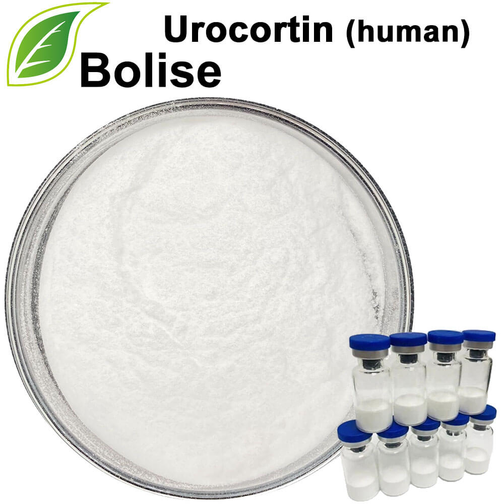 Urocortin (human)