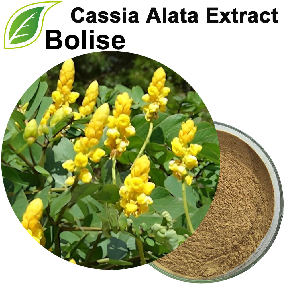 Buy Cassia Alata Extract Online - Low Price,For Sale from Bolise