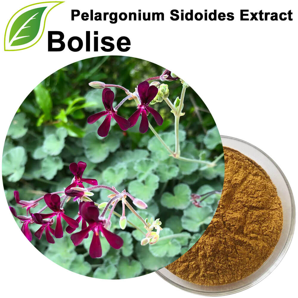 Pelargonium Sidoides Extract