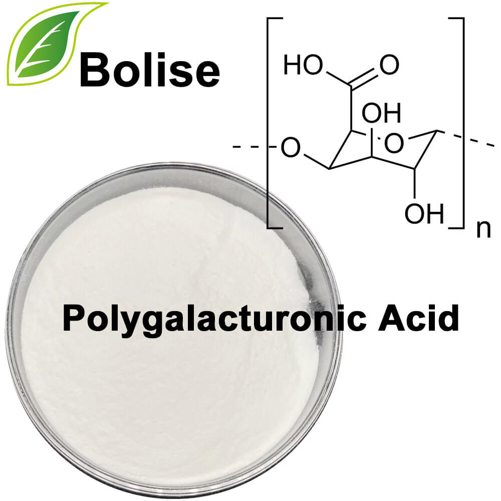 Polygalacturonic Acid