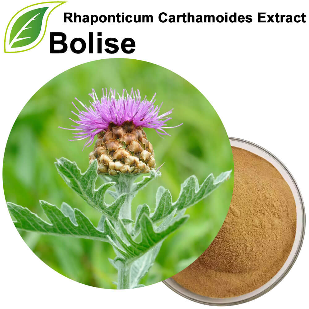 Rhaponticum Carthamoides Extract