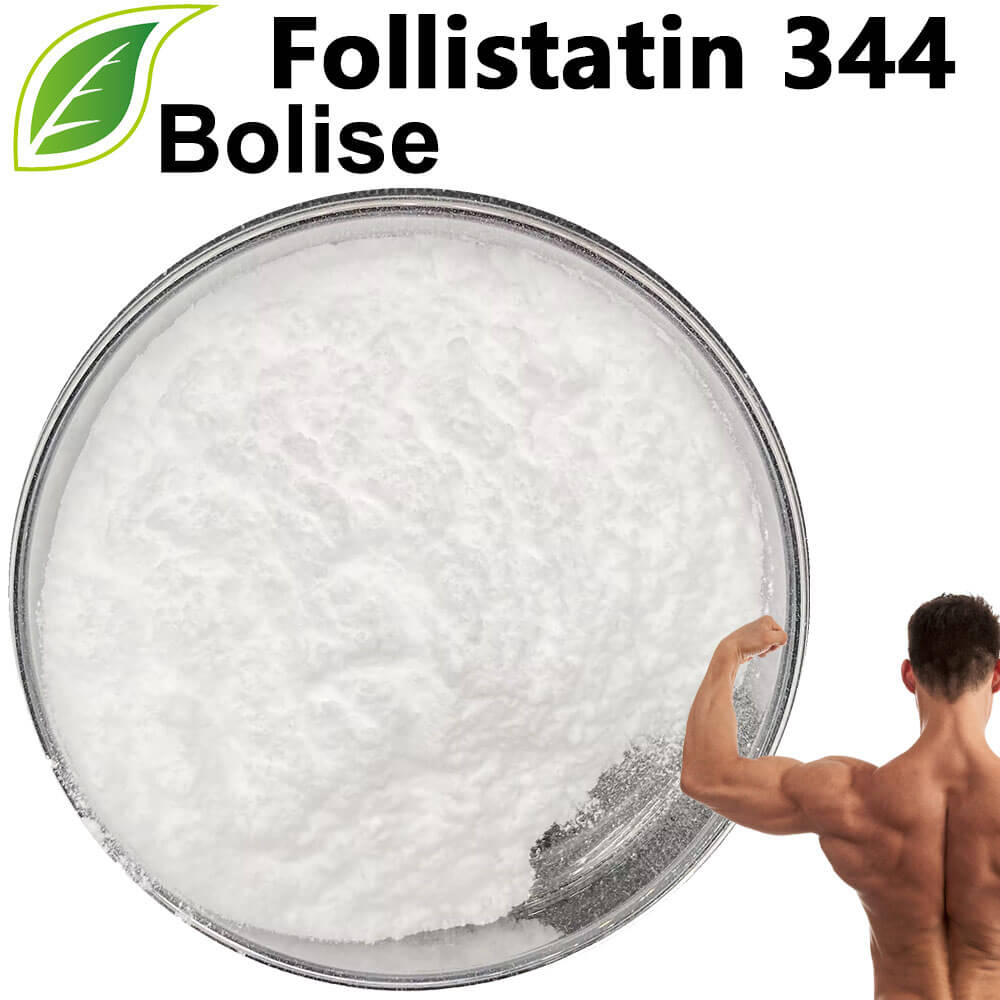 Follistatin 344