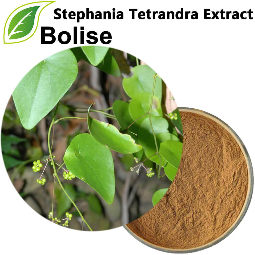 Stephania Tetrandra Extract