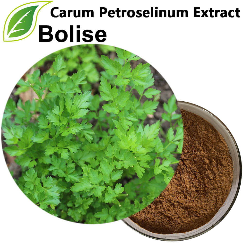 Carum Petroselinum (Parsley) Extract