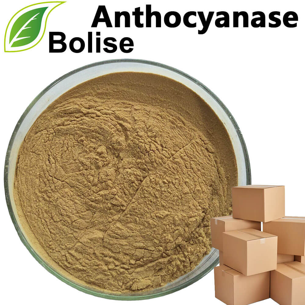 Anthocyanase