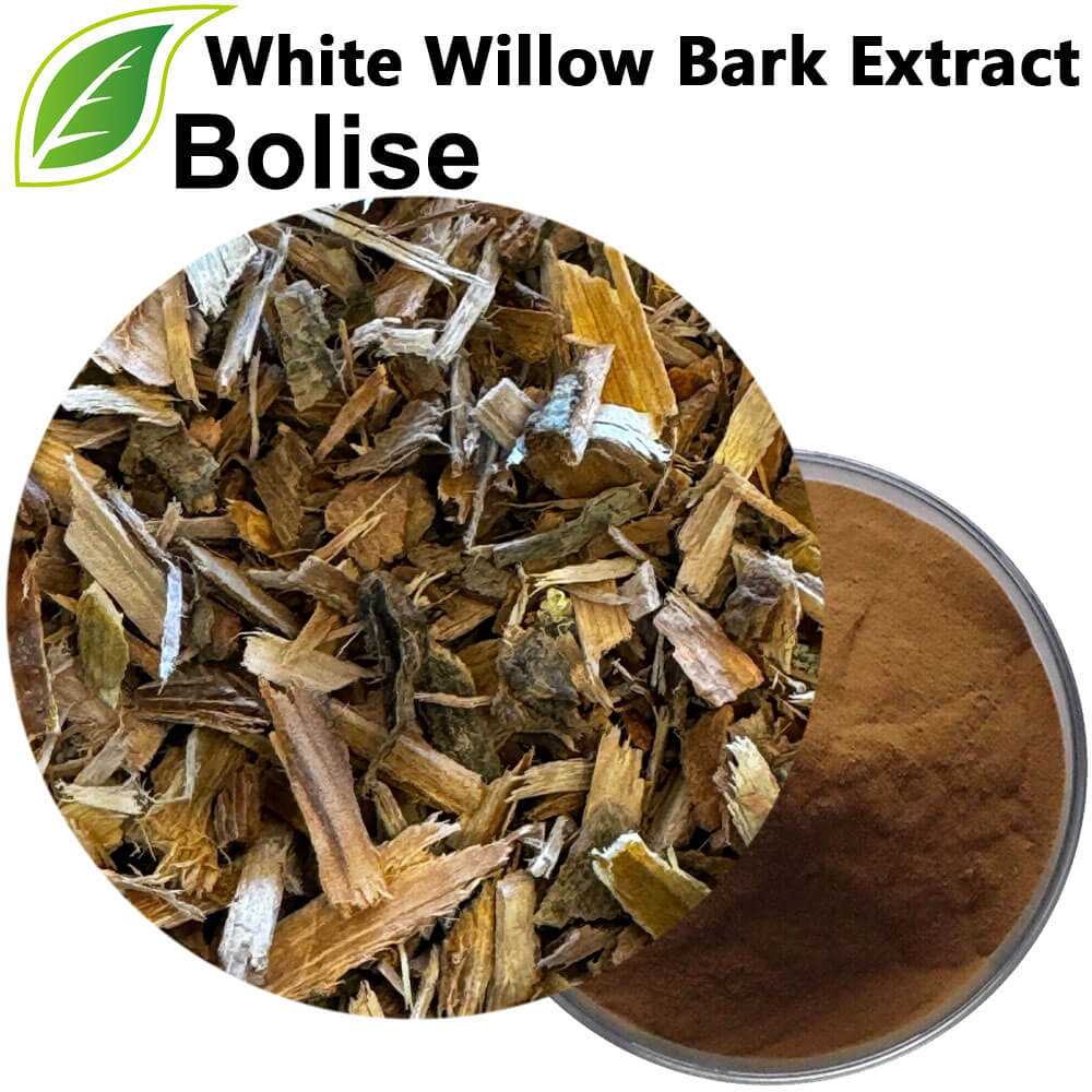 White Willow Bark Extract