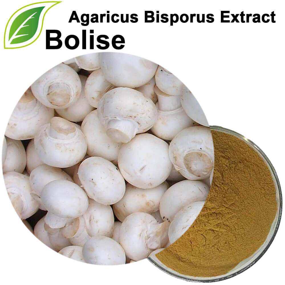 Agaricus Bisporus Mushroom Extract