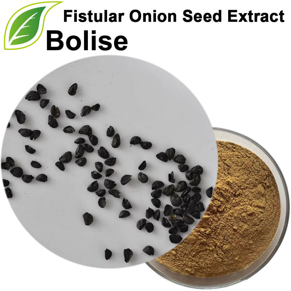 Fistular Onion Seed Extract