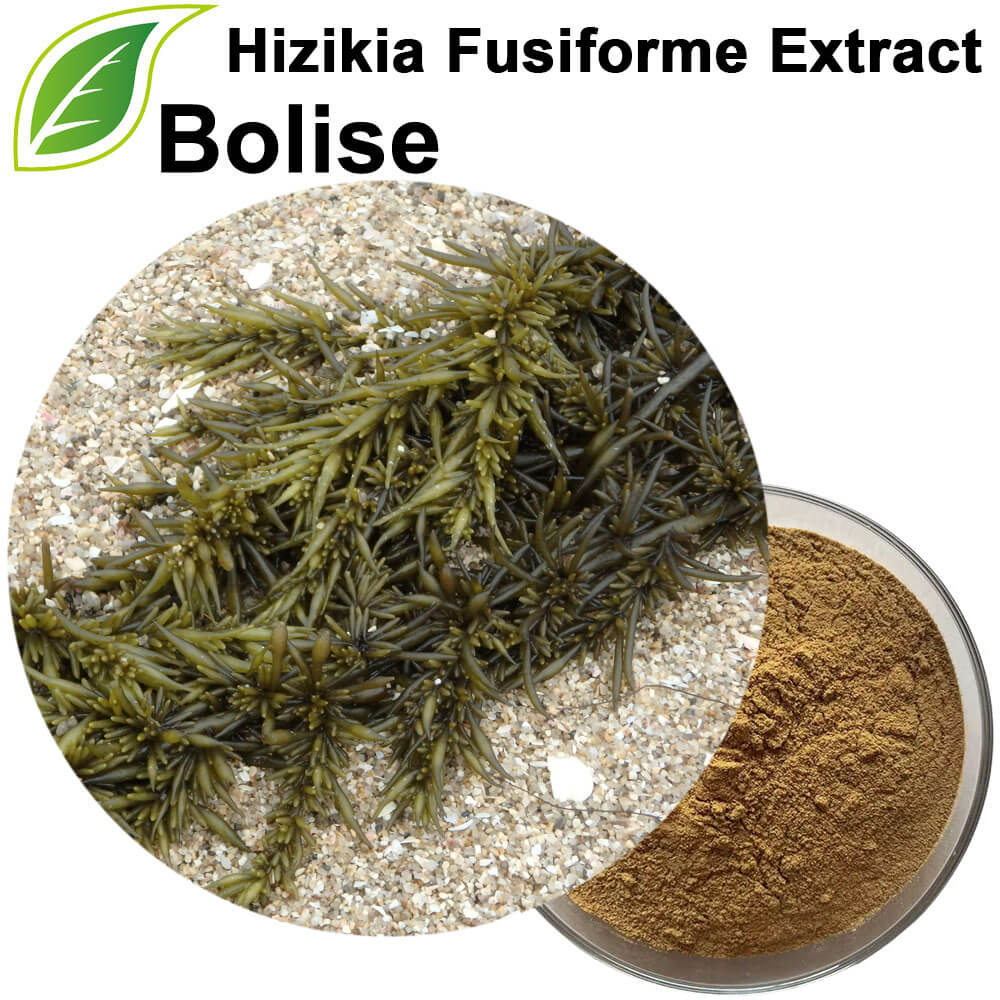 Hizikia Fusiforme Extract