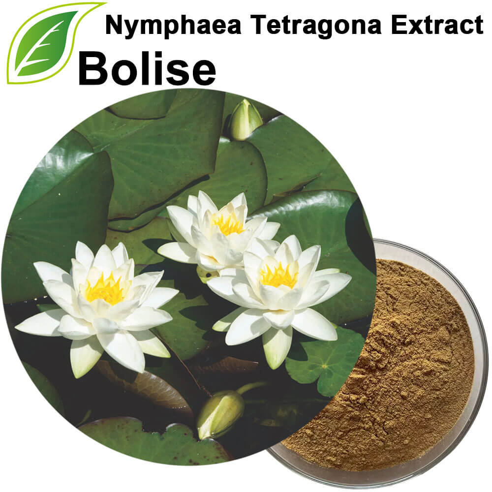 Nymphaea Tetragona Extract