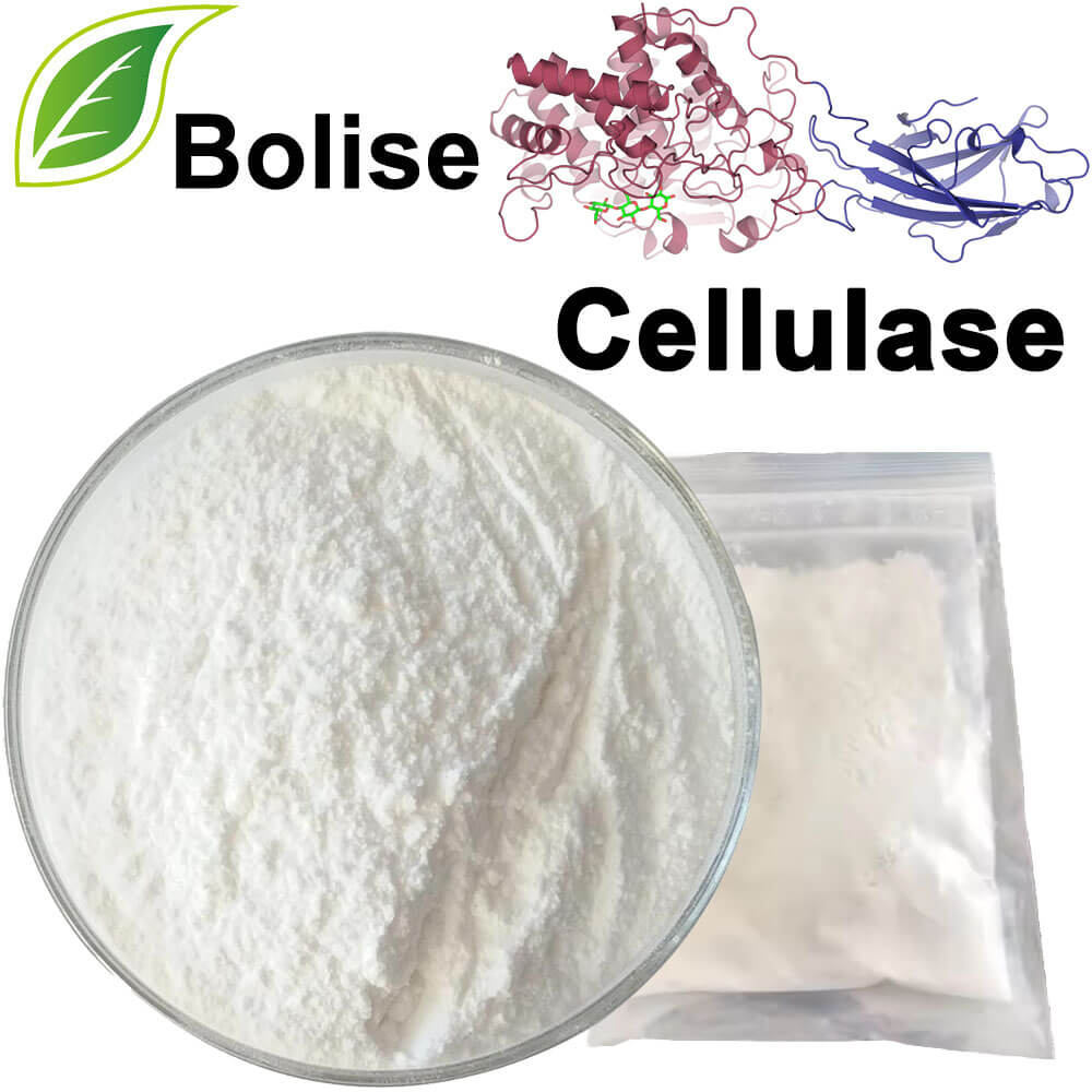 Cellulase