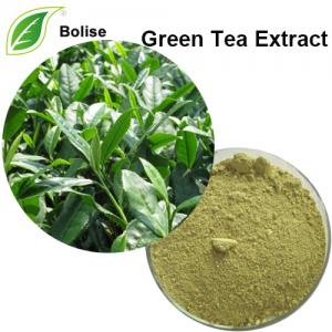 tea green extract dry polyphenols catechins specification